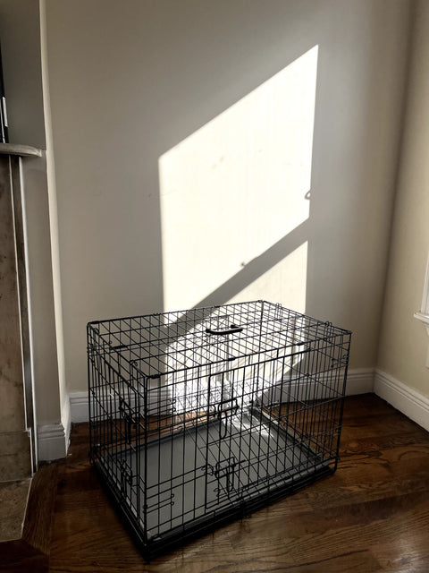 Foldable Dog Crate, W19xL30xH22"
