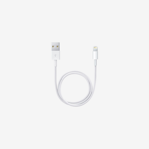 Apple Lightning to USB Cable