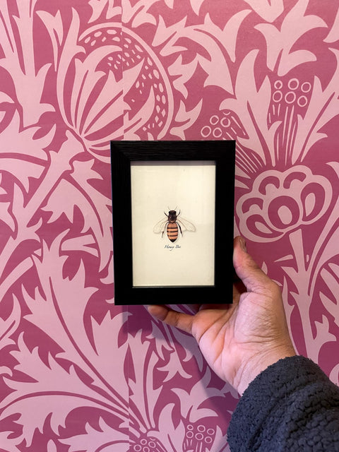 Framed Honey Bee Art