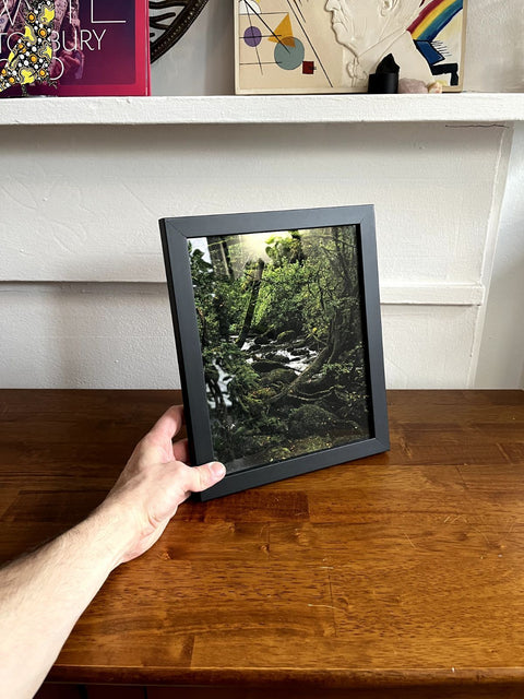 Framed Nature Photo, 9x11"