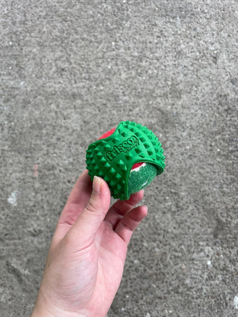 Frisco Hide And Seek Toy