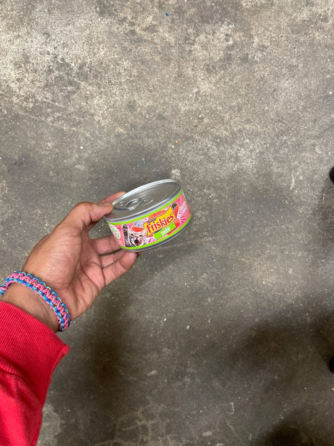 Friskies Pate Salmon Dinner, Unexpired