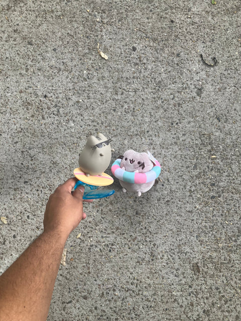 Pusheen Toy Set