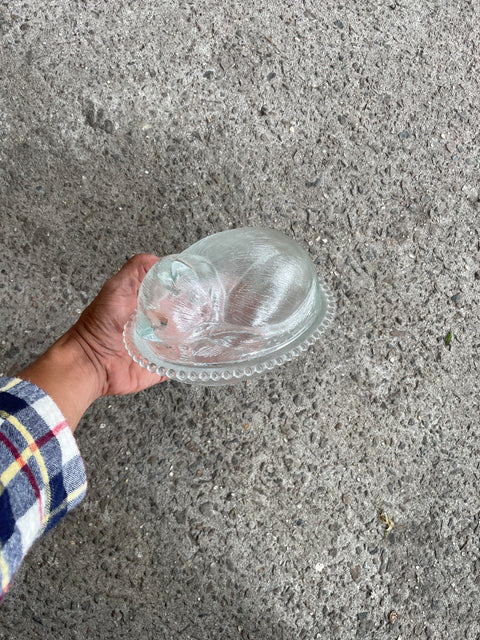 Fun Glass Kitty Dish perhaps for Mad Butter