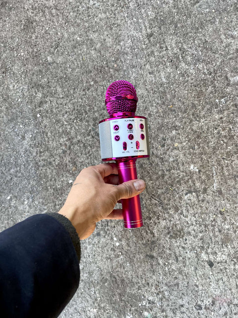 Fun Karaoke Microphone