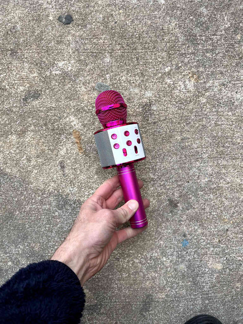 Fun Karaoke Microphone