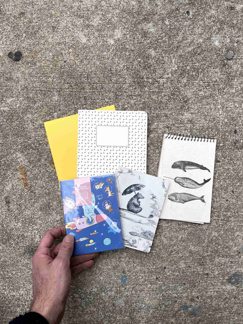 Fun Set Of Notebooks