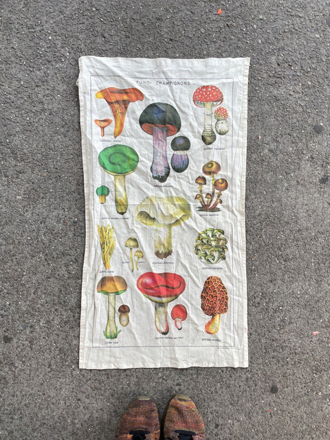 Fungi Chart Tea Towel