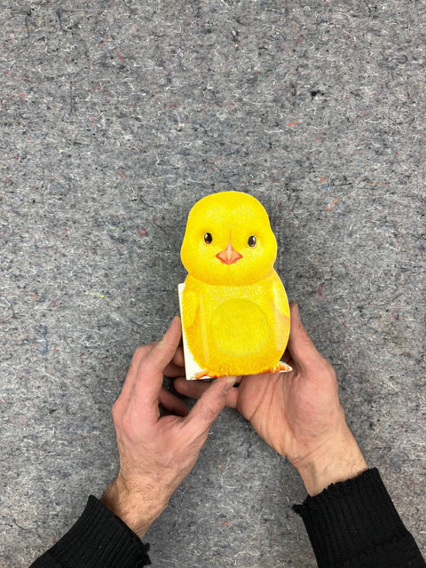 "Furry Chick" Mini Touch & Feel Board Book