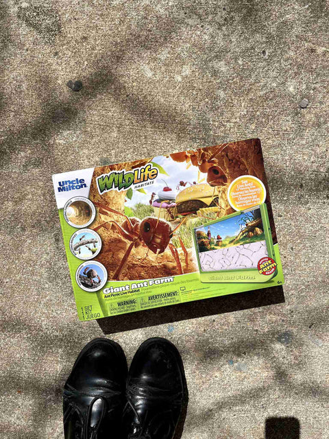 Giant Ant Farm Kit