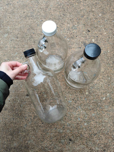 Glass Growlers