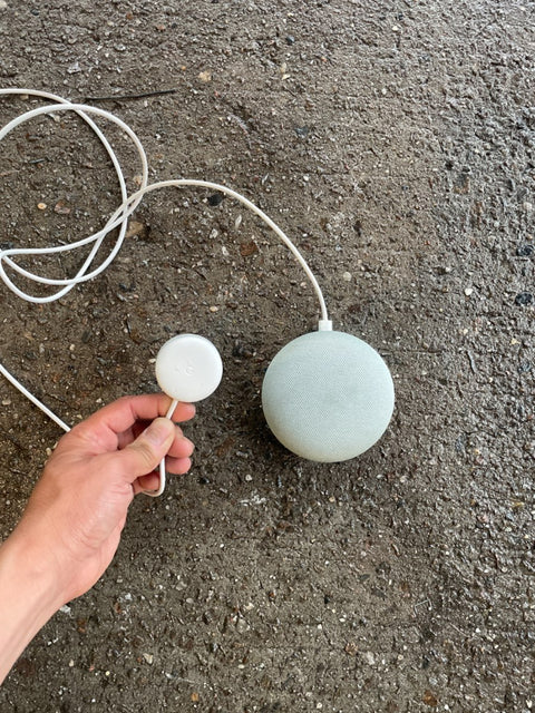 Google Home Mini Assistant