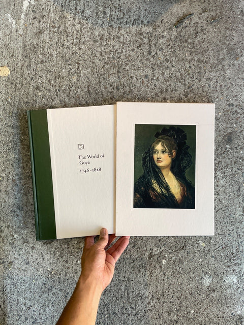 Goya's World Art Book