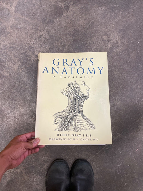 Gray's Anatomy By Henry Gray
