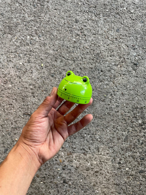 Green Frog Kitchen Timer