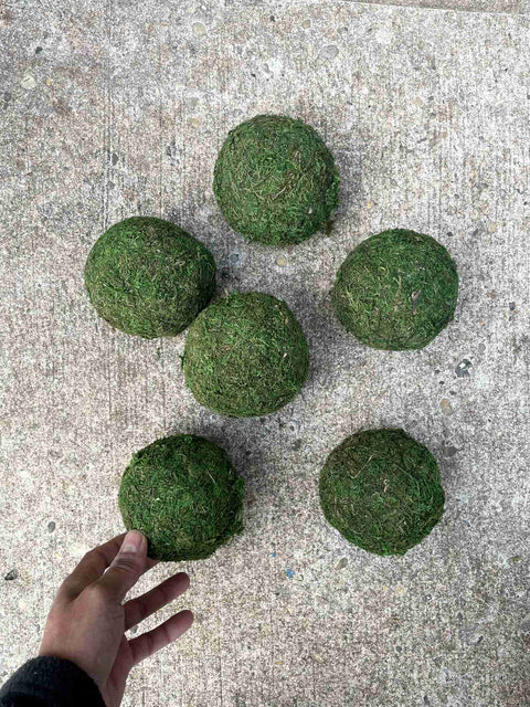 Green Moss Balls