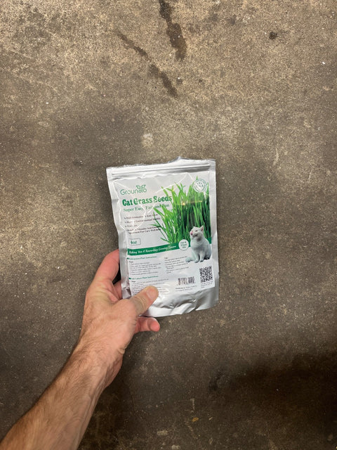 Groundio Cat Grass Seeds