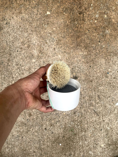 Grove Brush and Pot Set