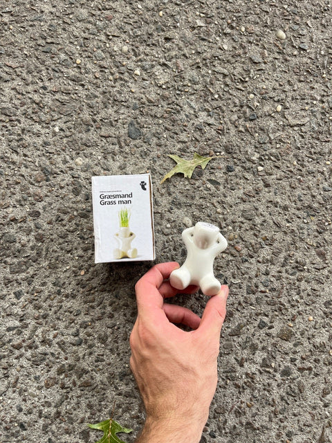 Græsmand Grass Man Which Will Grow Hairs As You Water it