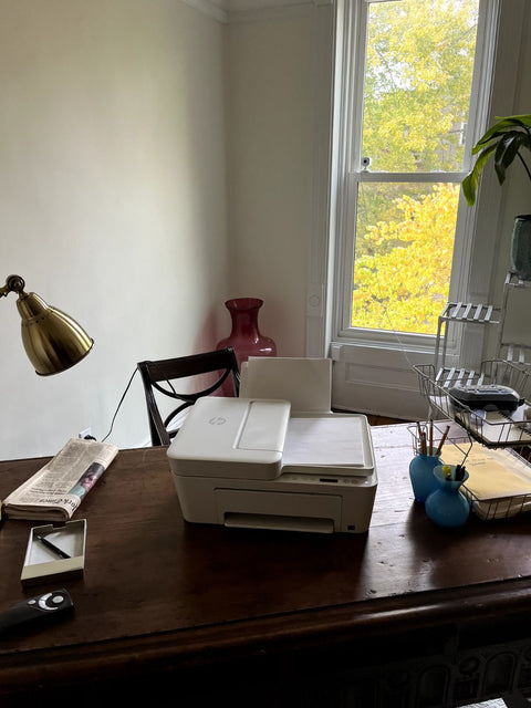 HP DeskJet 4133e Printer