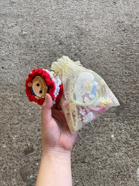 Hair Clips And Cute Pouch Set