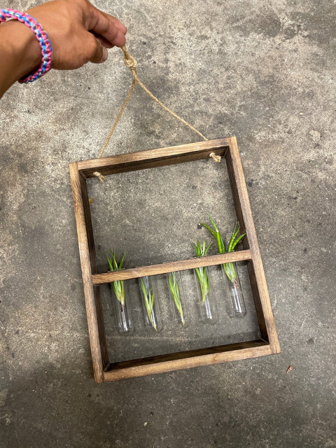 Hanging Tube Plant Display
