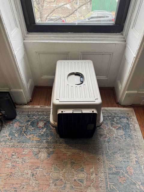 Another Hard Case Pet Carrier Crate, H16xW15xL23"