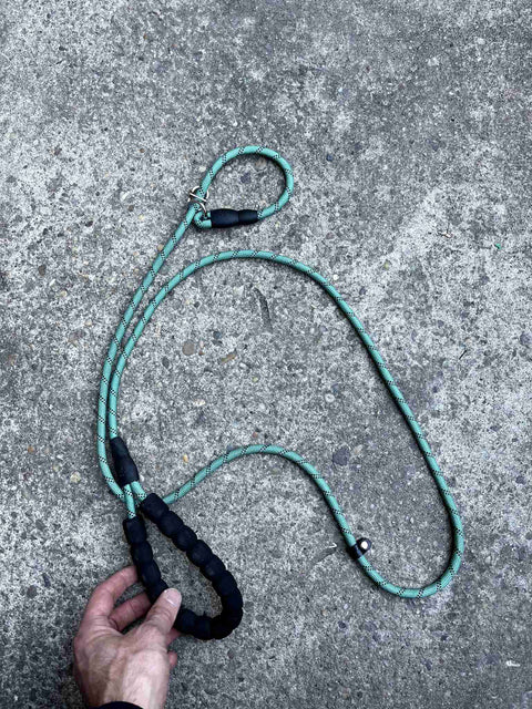 Heavy Duty Dog Leash
