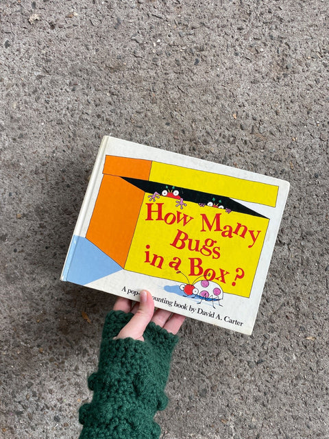 How Many Bugs In A Box?