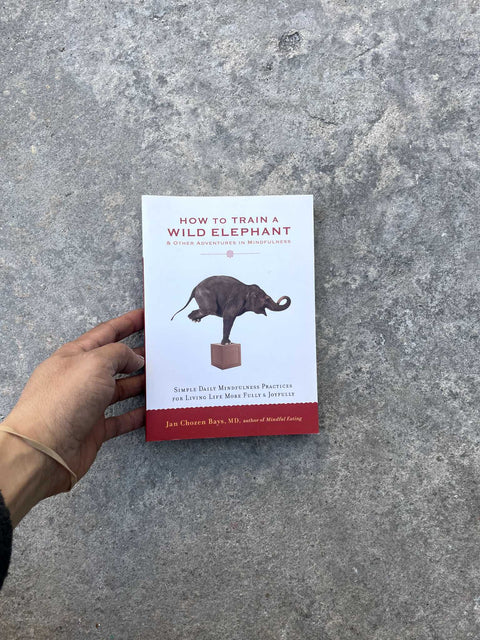 How to Train a Wild Elephant