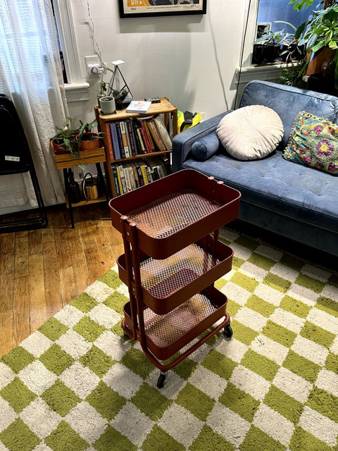 IKEA RÅSKOG Utility Cart, W16xD12xH31"