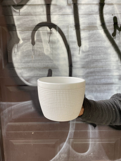 Pretty Nice White Plant Pot, 6.5 inches wide
