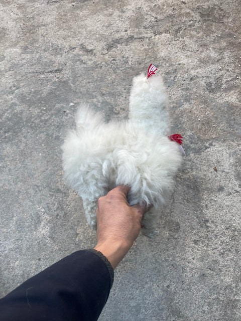 Llama Fluffy Doll