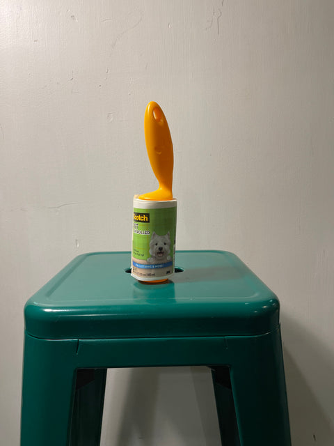 Pet Hair Roller