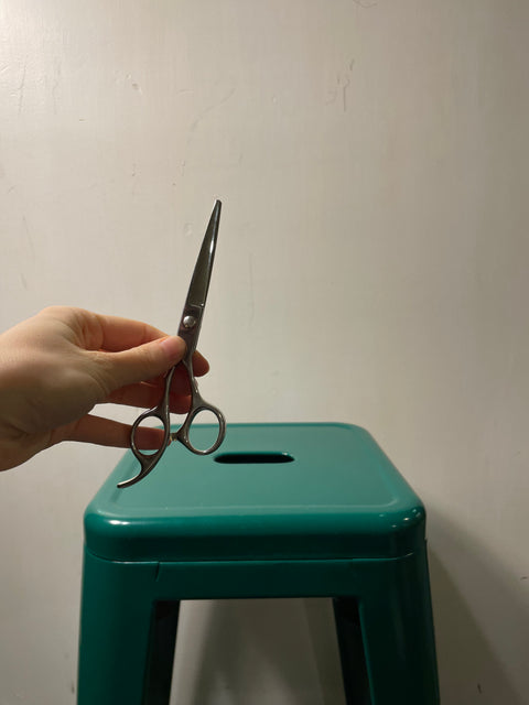 Hair Cutting Scissors