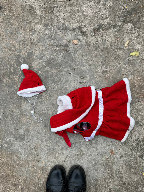 Maggie Waggie Santa Claus Dog Costume, Size M