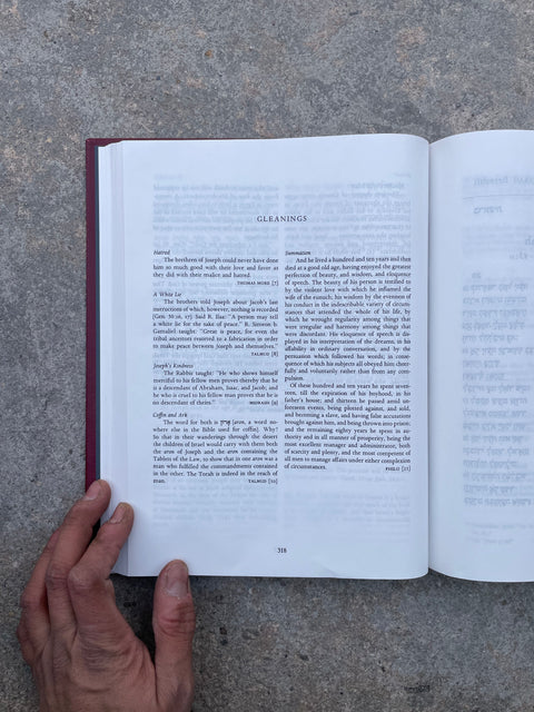 The Torah: A Modern Commentary