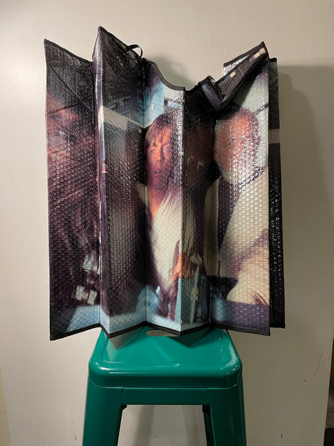 Star Wars Accordion Sunshade