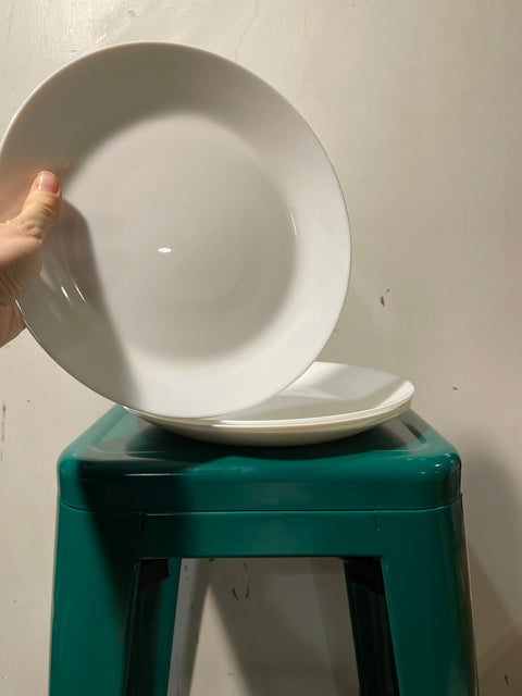 4 Dinner Plates