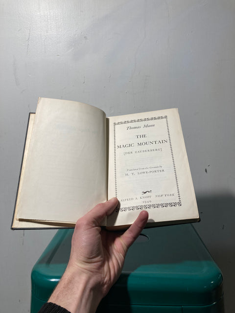 The Magic Mountain by Thomas Mann