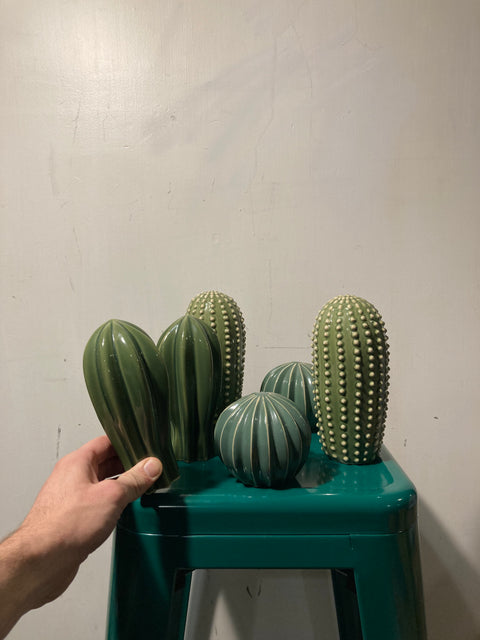 A Bunch of Ceramic Cactus