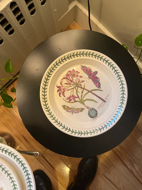 A Very Pretty Set Of Botanical Plates