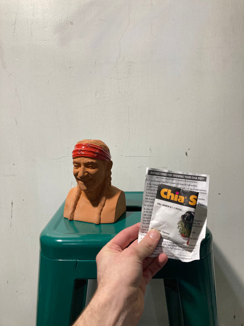 Chia Pet Head