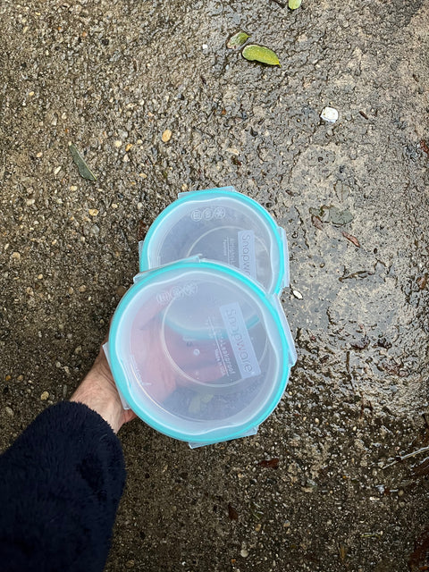 Two 4-Cup Snapware Air Tight Kitchen Plastic Containers