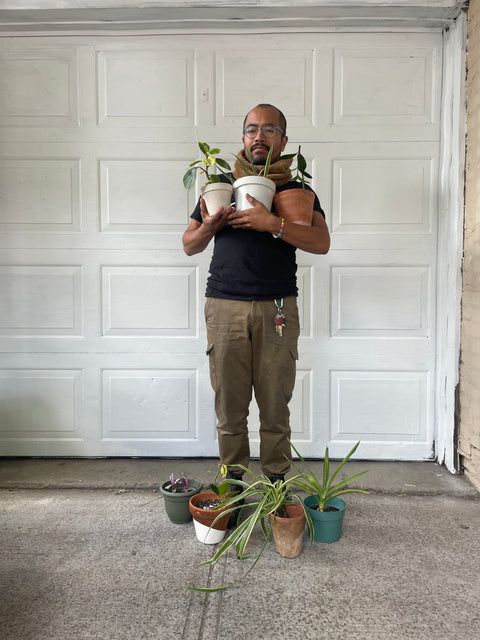 7 Plants Looking For A New Home