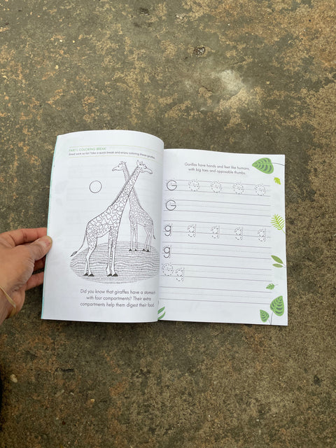 Print Penmanship Workbook for Kids