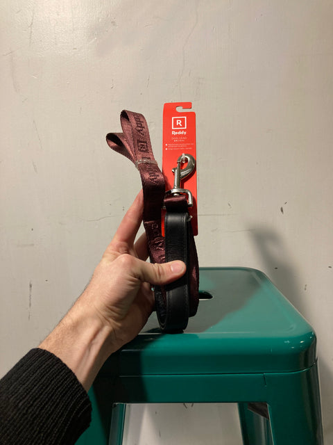 Reddy 6 ft dog leash