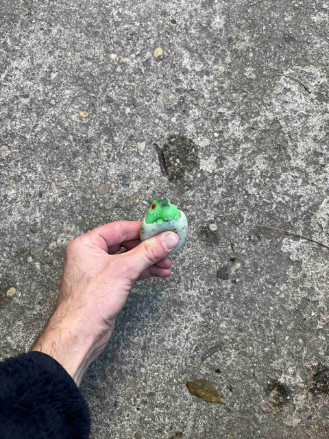 Dinosaur Egg Toy You Can Squeeze Real Hard