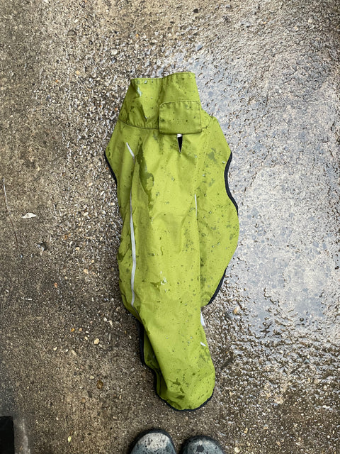 Raincoat for Dogs