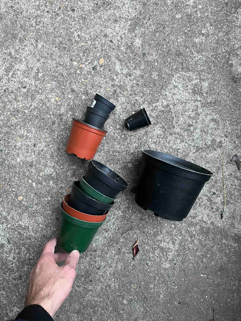 Plastic Plant Pots Medley